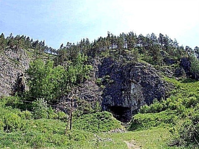 Ostaci neobičnog drevnog konja otkrivenog na Altaju