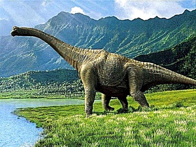 Динозаврлар эмне үчүн өлүп калганы белгилүү болду