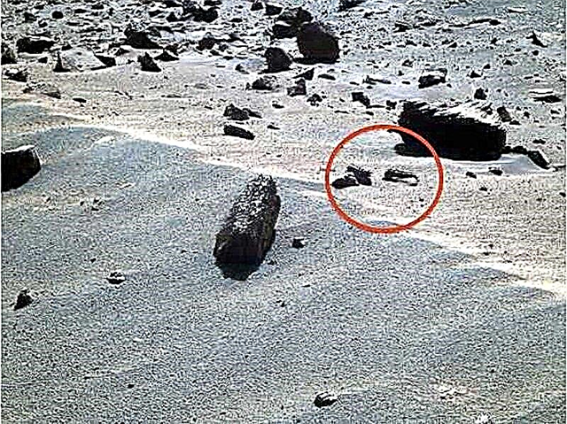 میگو و عقرب کشف شده در مریخ