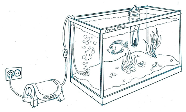 Шарҳи компрессорҳои бесадо барои аквариум