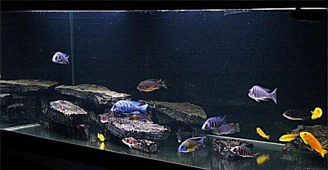Омӯзиши тағир додани об дар аквариум