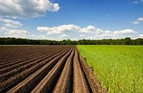 စိုက်ပျိုးရေးမြေဆီလွှာကိုခွဲခြမ်းစိတ်ဖြာ