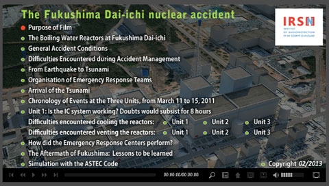 Fukushima kev sib tsoo. Teeb meem ecological