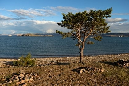 Экологиялык кырсыктын алдында турган Байкал