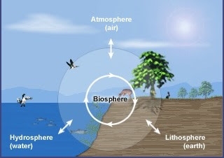 Biosfer bumi