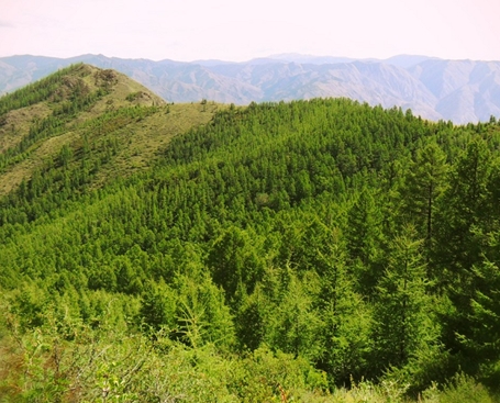 Izinkinga zemvelo ze-Altai Territory