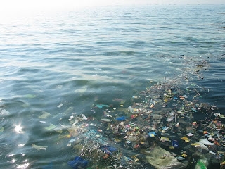 Энэтхэгийн далайн байгаль орчны асуудал