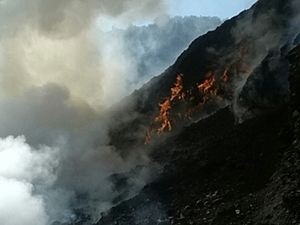 Ендогени процеси