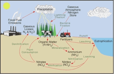 Циклусот на супстанции во биосферата