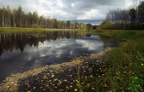 Prirodni resursi Sibirske nizije