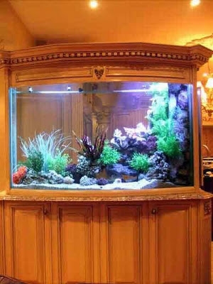 Aquarium aquarium est in domum suam