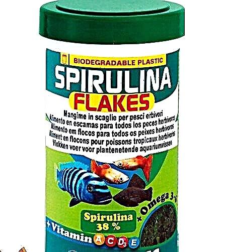 Ushqim peshku Spirulina - për shëndetin, bukurinë dhe aktivitetin