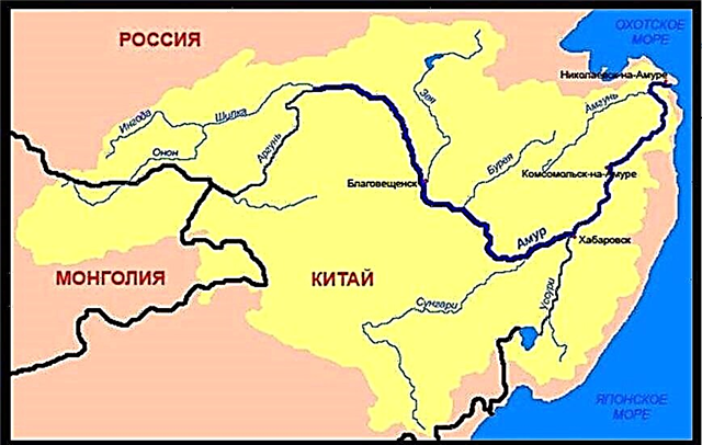 Amur ၏ပတ်ဝန်းကျင်ဆိုင်ရာပြproblemsနာများ