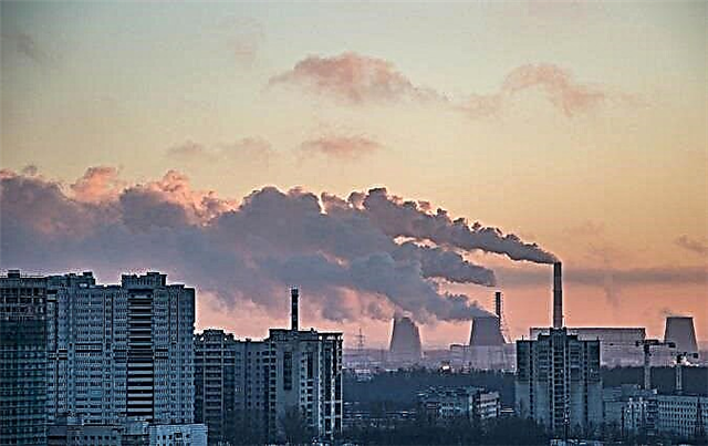 S. Petersburg de environmental problems