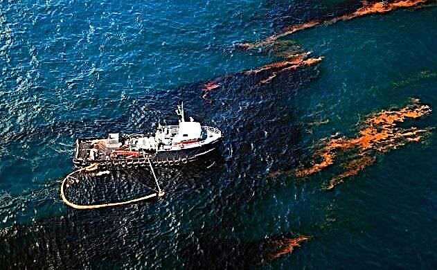 Environmental problems in mare de Iaponia