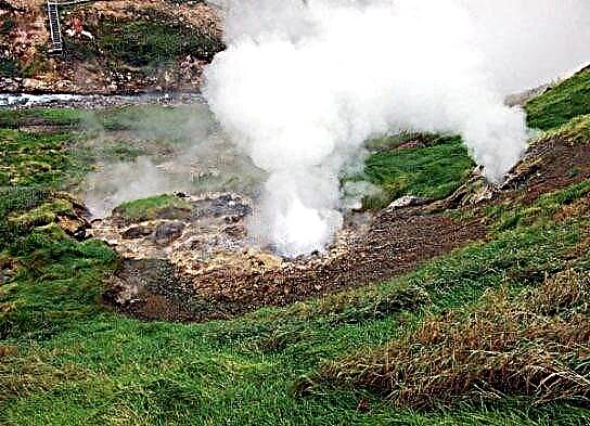 Awọn geysers ti Kamchatka