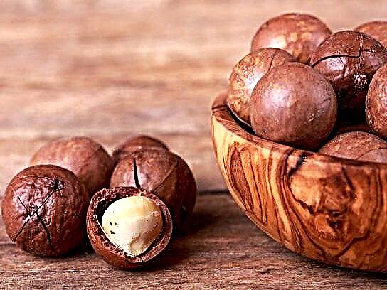 Mga nut sa macadamia
