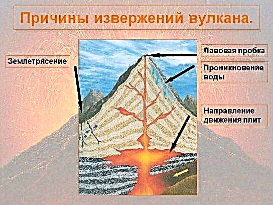 Causas das erupcións volcánicas