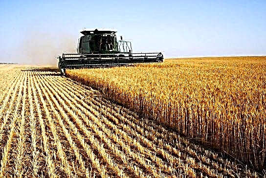 شرکتهای برتر کشاورزی اوکراین
