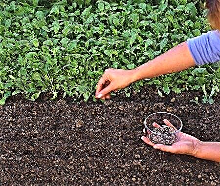 Хөрсний үржил шимийг сайжруулах
