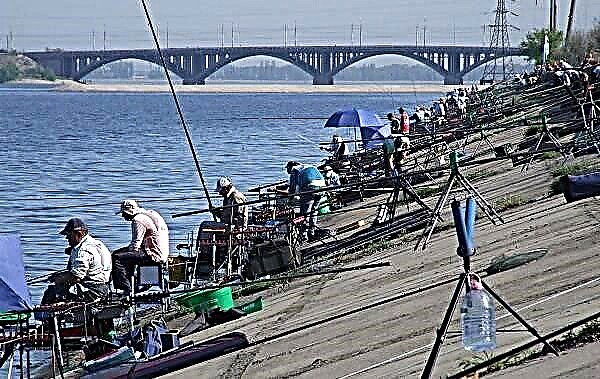 15 најдобри места за риболов во регионот Воронеж. Платено и бесплатно