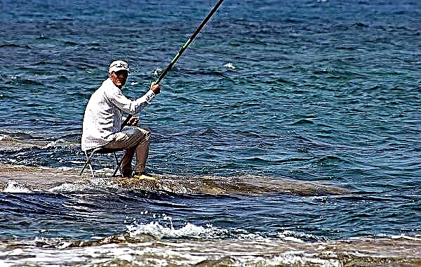 15 najboljih ribolovnih mjesta na Kubanu. Besplatno i plaćeno
