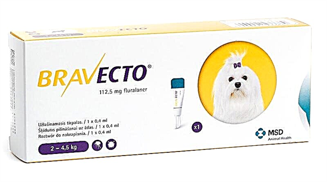 Bravecto vir honde: tablette en druppels
